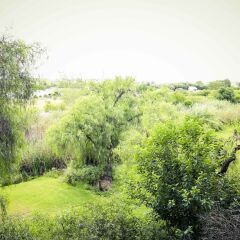 Отель Riverside Lodge фото 4