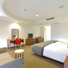 Hotel MyStays Utsunomiya Уцуномия комната для гостей фото 3