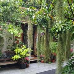 Отель OYO 812 Nature House Бангкок фото 4