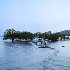 Отель Villa Cha-Cha Krabi Beachfront Resort Таиланд, Краби - отзывы, цены и фото номеров - забронировать отель Villa Cha-Cha Krabi Beachfront Resort онлайн приотельная территория фото 2