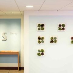 Отель ibis Massy развлечения