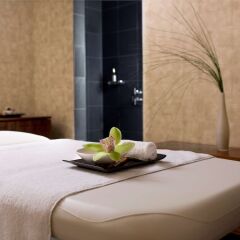Отель Park Hyatt Zurich спа