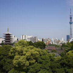 Отель Residential Hotel B:CONTE Asakusa Япония, Токио - 1 отзыв об отеле, цены и фото номеров - забронировать отель Residential Hotel B:CONTE Asakusa онлайн балкон
