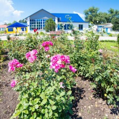 Гостиница Солнечный берег (Анапа)