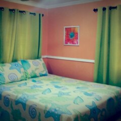 Отель The Oasis at Oaklands Apartment 2 Ямайка, Кингстон - отзывы, цены и фото номеров - забронировать отель The Oasis at Oaklands Apartment 2 онлайн комната для гостей