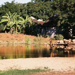 Отель Addo African Home фото 2