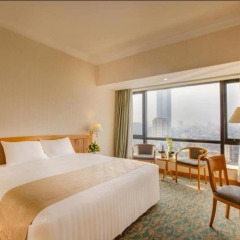 Hanoi Hotel комната для гостей