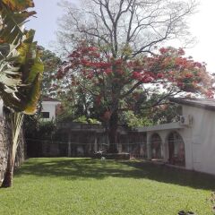 Отель Casa Colonial Bed And Breakfast Гондурас, Сан-Педро-Сула - отзывы, цены и фото номеров - забронировать отель Casa Colonial Bed And Breakfast онлайн фото 11
