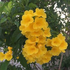 Отель Paradise Park Laemchabang