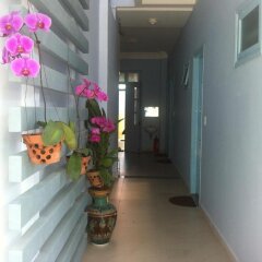 Отель Areca Homestay Вьетнам, Хойан - отзывы, цены и фото номеров - забронировать отель Areca Homestay онлайн интерьер отеля