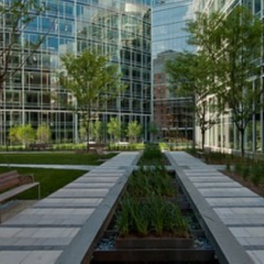 Отель Bluebird Suites on Washington Circle США, Вашингтон - отзывы, цены и фото номеров - забронировать отель Bluebird Suites on Washington Circle онлайн фото 4