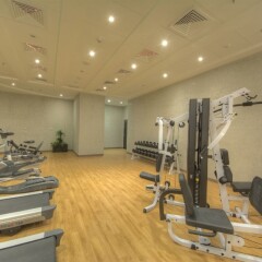 Отель Raintree Rolla Hotel ОАЭ, Дубай - 1 отзыв об отеле, цены и фото номеров - забронировать отель Raintree Rolla Hotel онлайн фитнесс-зал фото 4