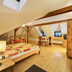 Hotel Garni Myší Díra Чешский Крумлов комната для гостей фото 2