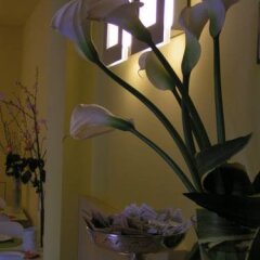 Отель Albergo Verdi Италия, Падуя - отзывы, цены и фото номеров - забронировать отель Albergo Verdi онлайн интерьер отеля фото 3
