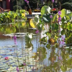 Отель Sun Town Hotspring Resort фото 6