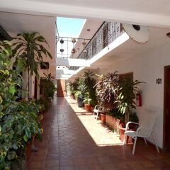 Отель Cabo Cush Мексика, Кабо-Сан-Лукас - отзывы, цены и фото номеров - забронировать отель Cabo Cush онлайн