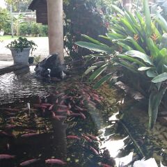 Hotel La Casa de Nery Луизиана Ceiba