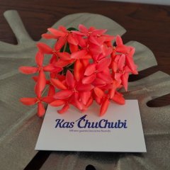 Kas ChuChubi in Kralendijk, Bonaire, Sint Eustatius and Saba from 86$, photos, reviews - zenhotels.com room amenities