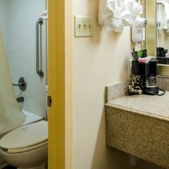 Отель Rodeway Inn Vicksburg США, Виксбург - отзывы, цены и фото номеров - забронировать отель Rodeway Inn Vicksburg онлайн ванная фото 2