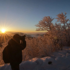 Отель Yongpyong Resort Dragon Valley Hotel Южная Корея, Пхёнчан - отзывы, цены и фото номеров - забронировать отель Yongpyong Resort Dragon Valley Hotel онлайн пляж