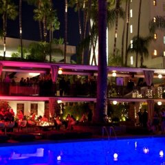 Hollywood Roosevelt Hotel бассейн фото 3