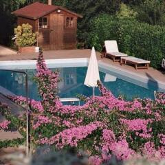 Отель Residence Hotel Le Fontanelle Италия, Монтескудаио - отзывы, цены и фото номеров - забронировать отель Residence Hotel Le Fontanelle онлайн с домашними животными