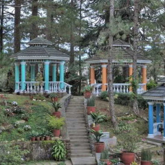 Отель Elizabeth - Baguio Филиппины, Багуйо - отзывы, цены и фото номеров - забронировать отель Elizabeth - Baguio онлайн фото 3