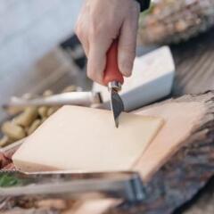 Отель Der Greil Австрия, Зёлль - отзывы, цены и фото номеров - забронировать отель Der Greil онлайн с домашними животными