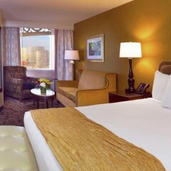 The Orleans Hotel & Casino 3* Номер категории Премиум с двуспальной кроватью
