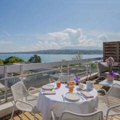 Отель N’vY Manotel Швейцария, Женева - 1 отзыв об отеле, цены и фото номеров - забронировать отель N’vY Manotel онлайн пляж