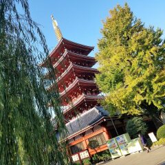Отель Sakura Hostel Asakusa Япония, Токио - отзывы, цены и фото номеров - забронировать отель Sakura Hostel Asakusa онлайн фото 5