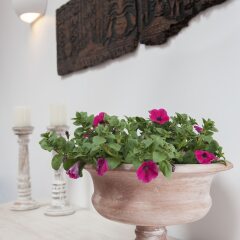 Отель White Jasmine Cottage Греция, Корфу - отзывы, цены и фото номеров - забронировать отель White Jasmine Cottage онлайн помещение для мероприятий фото 2