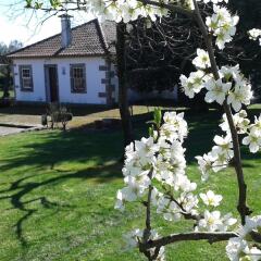 Отель Casas da Quinta da Cancela фото 4