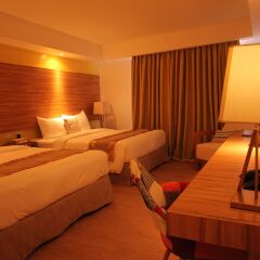 Отель Ferra Hotel and Garden Suites Филиппины, остров Боракай - отзывы, цены и фото номеров - забронировать отель Ferra Hotel and Garden Suites онлайн комната для гостей фото 4
