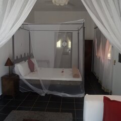 Suleima Lodge in Kotu, Gambia from 408$, photos, reviews - zenhotels.com guestroom