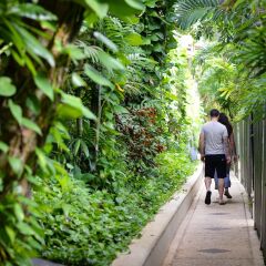 Отель Andaman White Beach Resort Таиланд, пляж Банг-Тао - 3 отзыва об отеле, цены и фото номеров - забронировать отель Andaman White Beach Resort онлайн фото 4
