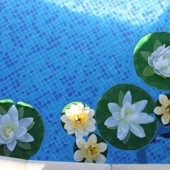 Отель Eden Болгария, Свети Влас - отзывы, цены и фото номеров - забронировать отель Eden онлайн детские мероприятия