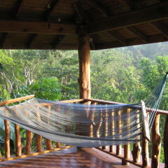 Отель Zimbali Retreats с домашними животными
