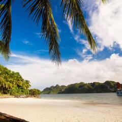 Отель Phoenix Luxury Cruise Halong пляж