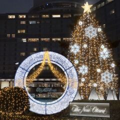 Hotel New Otani Tokyo Garden Tower фото 16