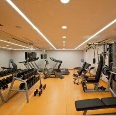 Holiday Inn Gebze - Istanbul Asia Турция, Гебзе - отзывы, цены и фото номеров - забронировать отель Holiday Inn Gebze - Istanbul Asia онлайн фитнесс-зал фото 3