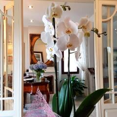Hotel Indiana Llanes интерьер отеля