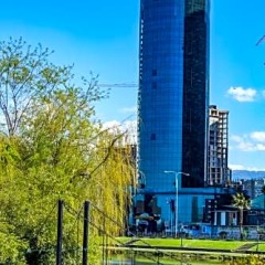 Photo of Sky Tower