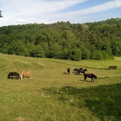 Отель La Ratatouille Agriturismo Дего приотельная территория фото 2