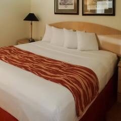 Отель Rodeway Inn South Miami Coral Gables США, Normandy Isle - 1 отзыв об отеле, цены и фото номеров - забронировать отель Rodeway Inn South Miami Coral Gables онлайн комната для гостей фото 5