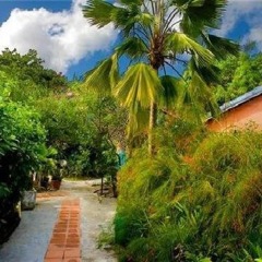 Hotel Le Rotabas фото 13