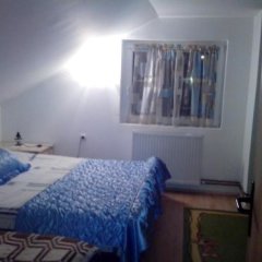 Guesthouse Dabić in Zlatibor, Serbia from 171$, photos, reviews - zenhotels.com guestroom