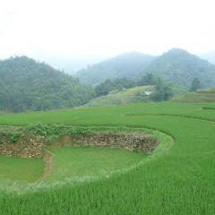 Sapa Cozy Hotel фото 5