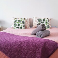Отель Vistula Apartment Польша, Варшава - отзывы, цены и фото номеров - забронировать отель Vistula Apartment онлайн фото 7