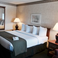 Отель Quality Inn & Suites Silicon Valley США, Санта-Клара - отзывы, цены и фото номеров - забронировать отель Quality Inn & Suites Silicon Valley онлайн комната для гостей